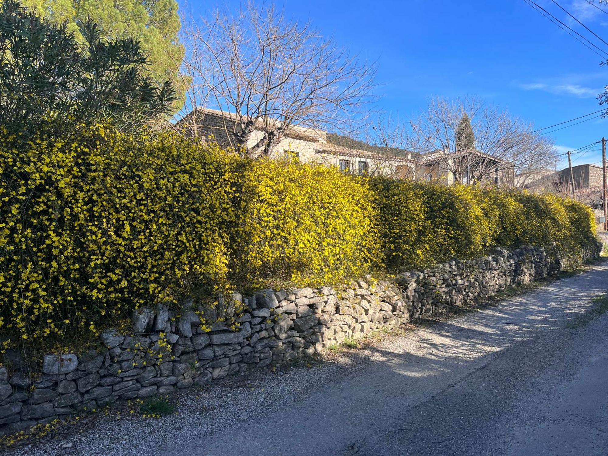 L'Ostal Du Pic Saint Loup Aux Embruscalles Claret Bagian luar foto